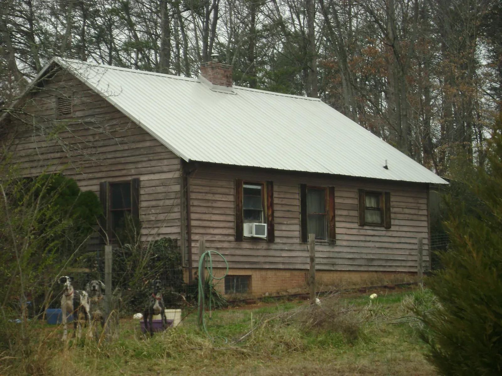 White metal roof on an old wood sided farmhouse, from a Asphalt Shingle Roof Repair job in Issue
